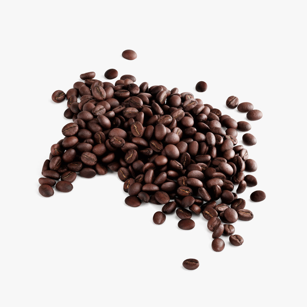 NORYVIA Praline Smooth Coffee – Medium Roast 100% Arabica Whole Bean Coffee, 12 oz (340 g)